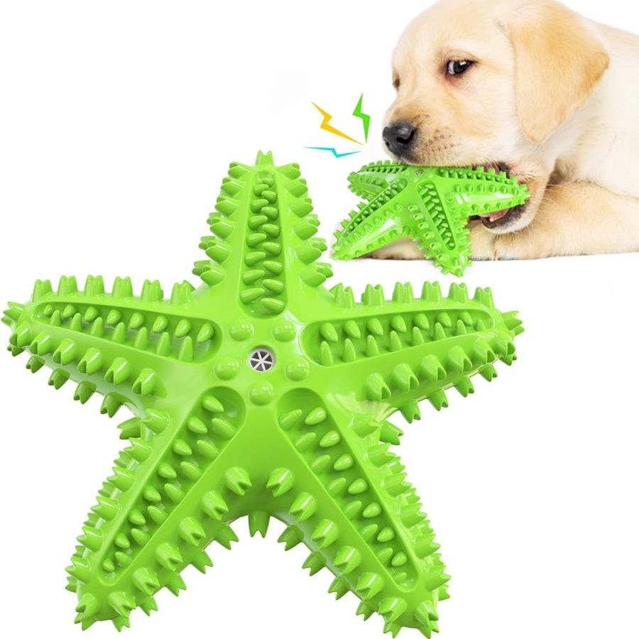 Starfish Dog Teething and Cleaning Toy