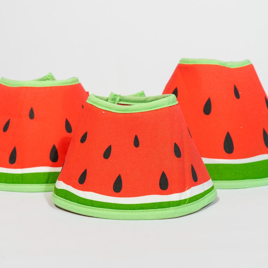 Watermelon Elizabeth Circle | Pet Medical Supplies