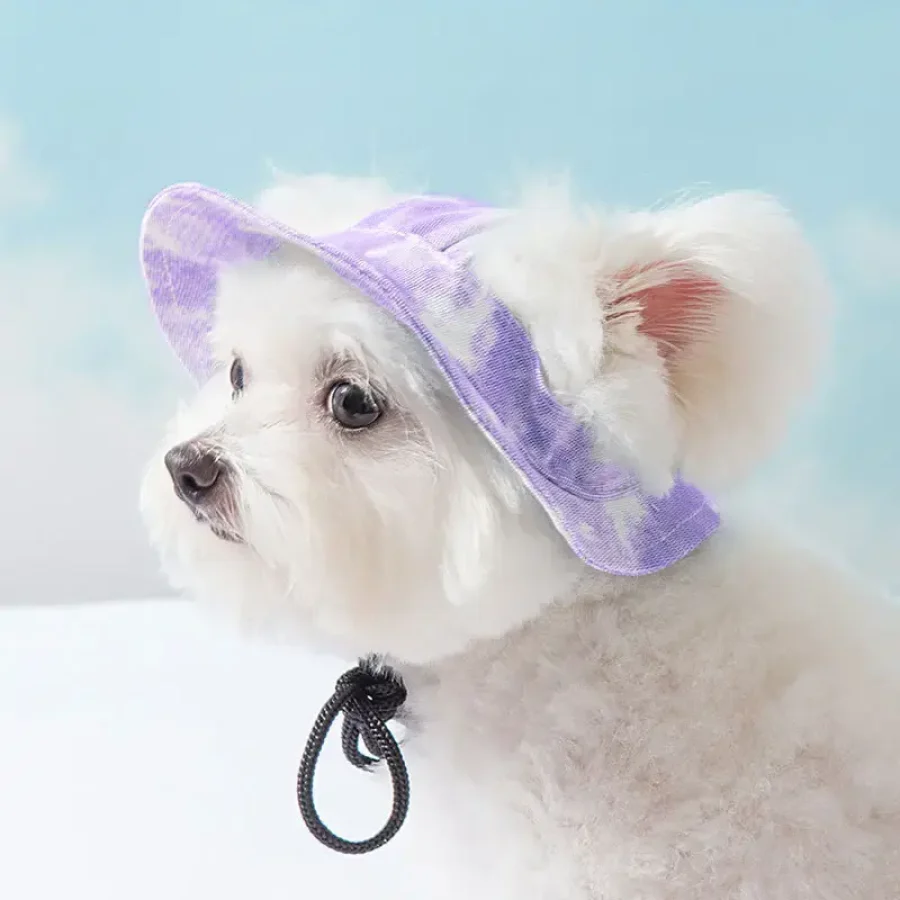 Pet Hat