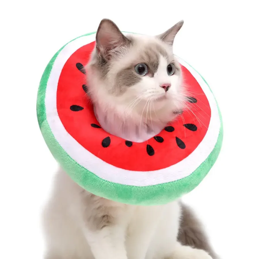 Pet Watermelon Collar