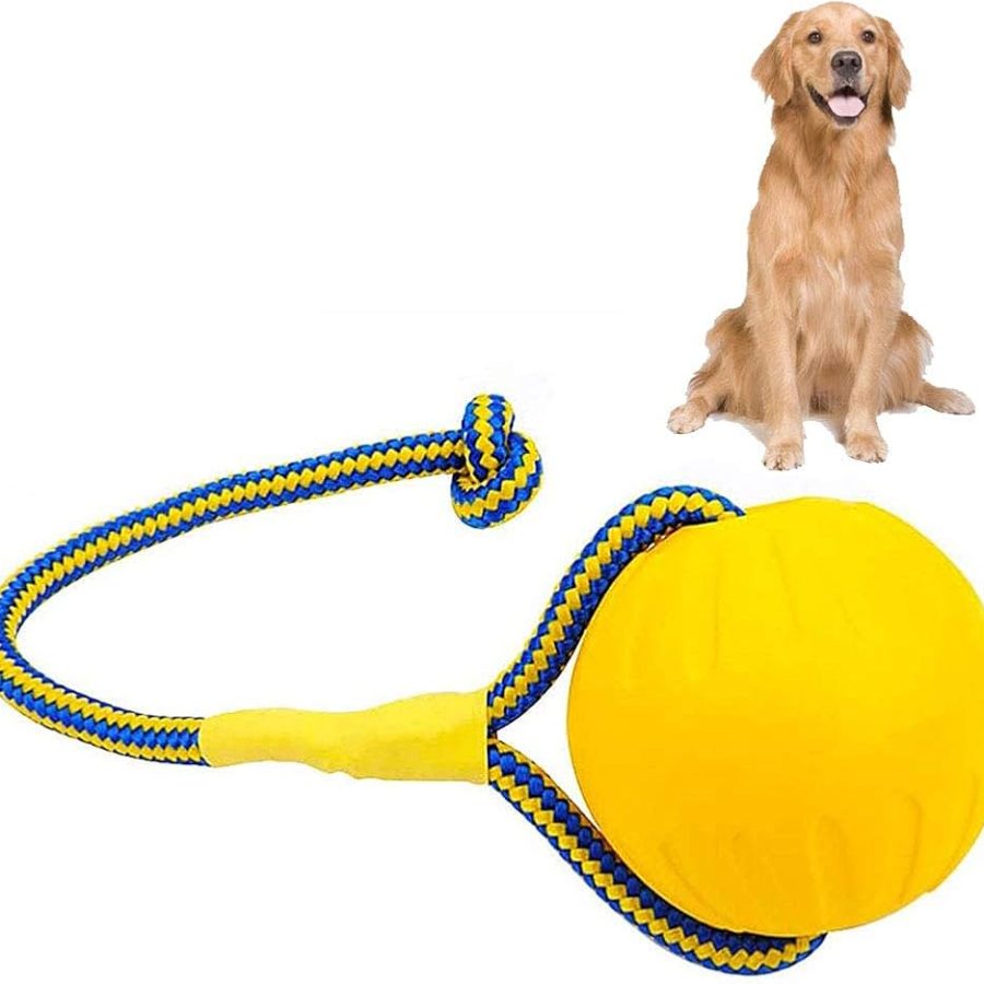 Chewing Training Ball Toy