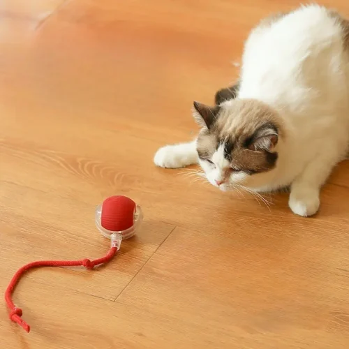 Home 29 Pet Smart Ball Toy – Silicone/PC – Ball Diameter 50mm