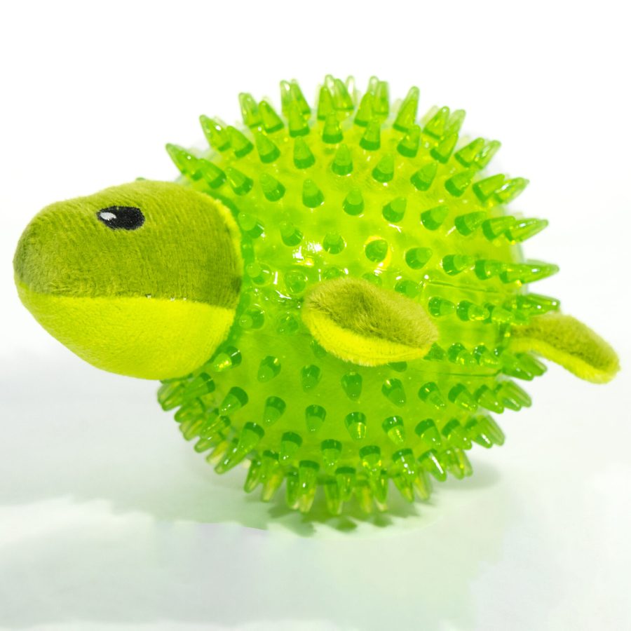 Turtle Ball And Plush Toy