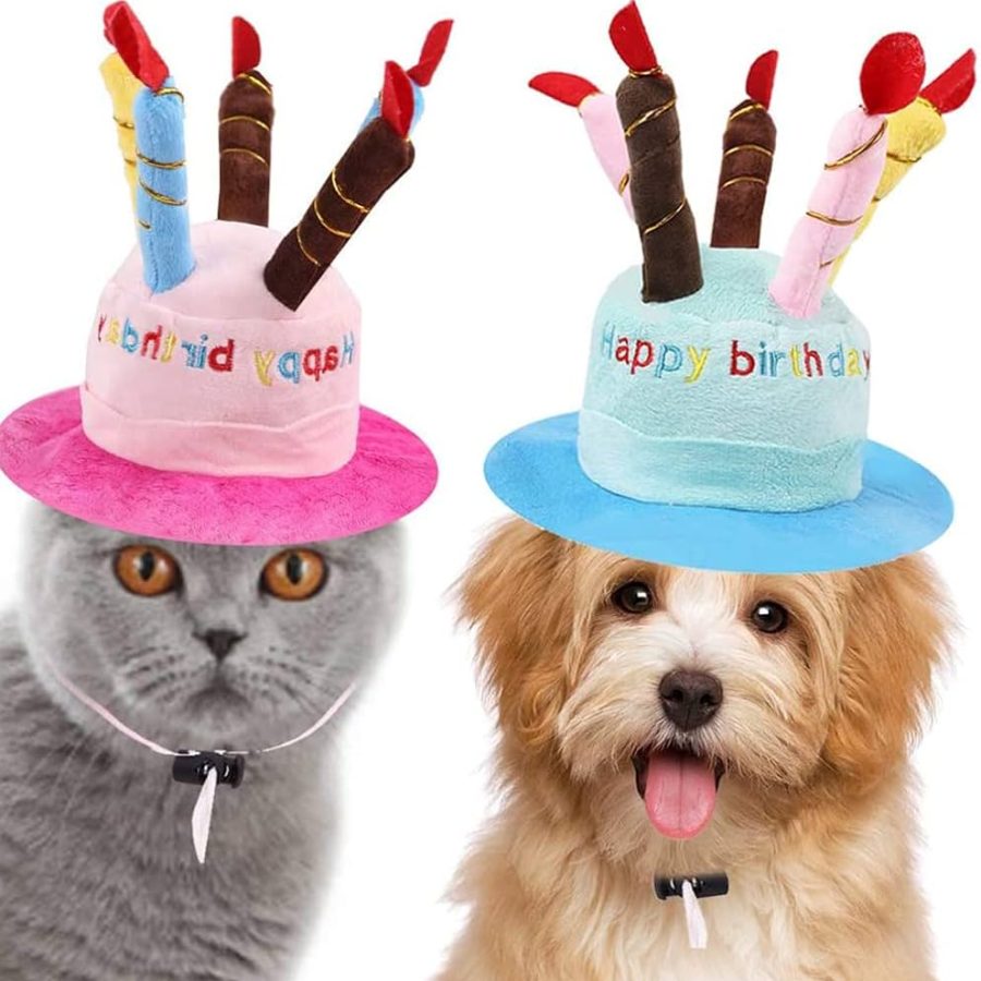 Happy Birthday Candle Hat