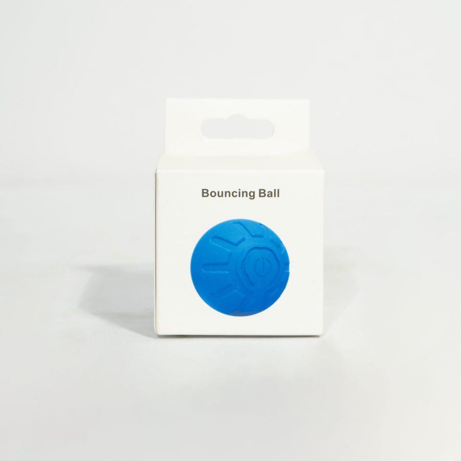 Dog Interactive Bouncing Ball
