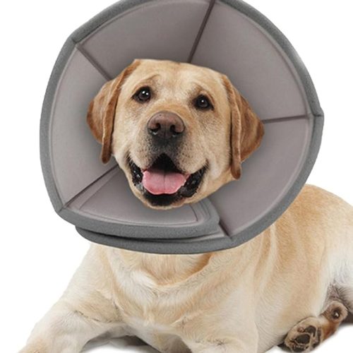 Pet Cone Recovery Collar After Surgery Pet Protective Collar
