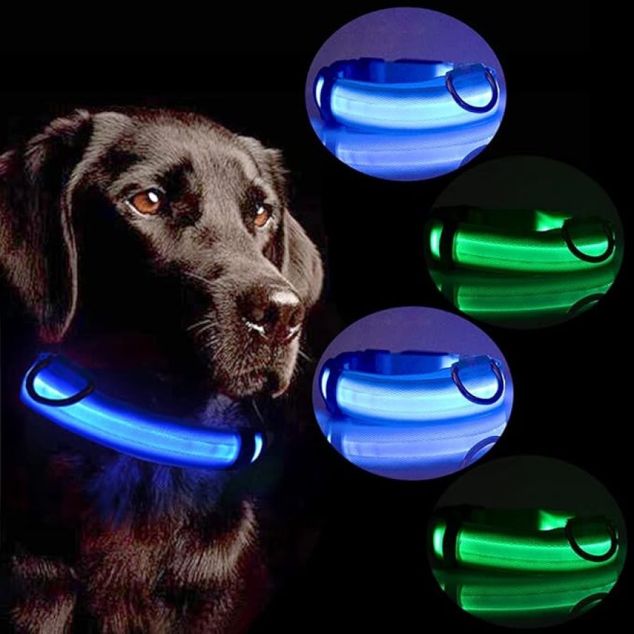 LED CHARGEABLE COLLAR
