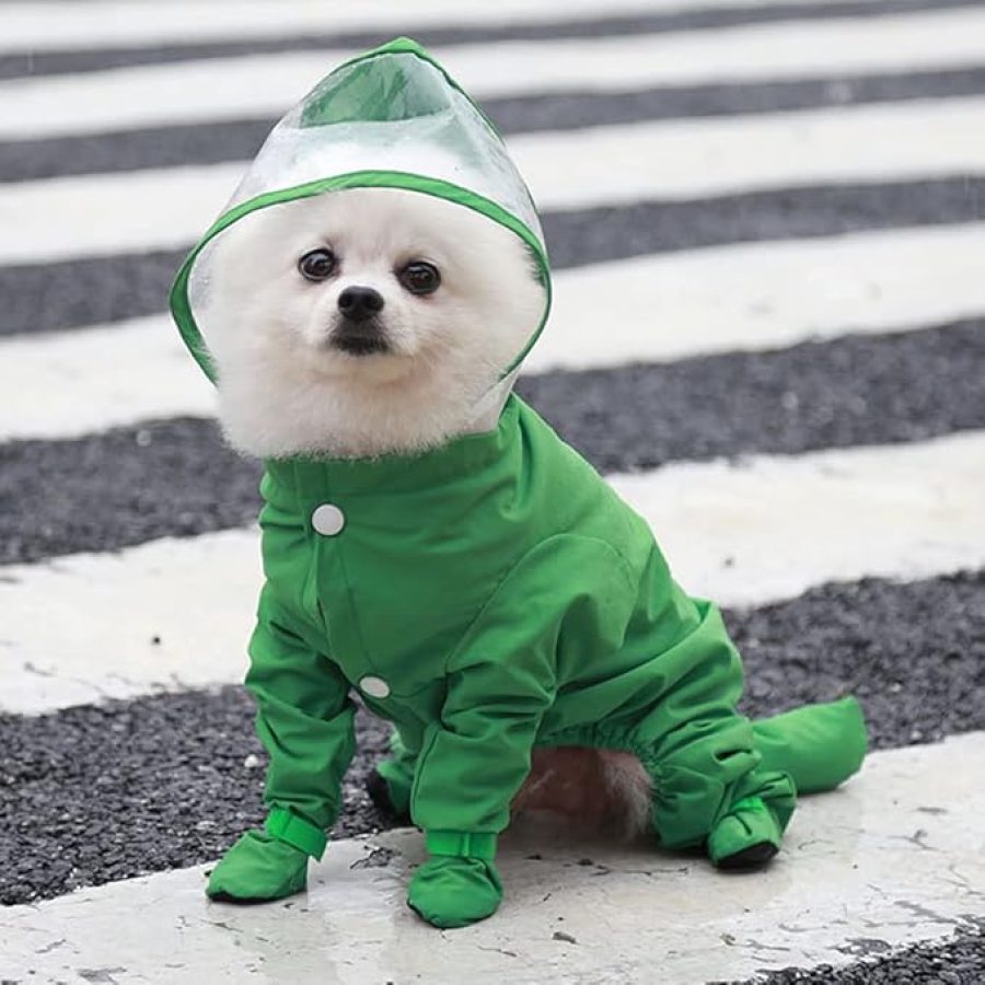 GREEN RAINCOAT