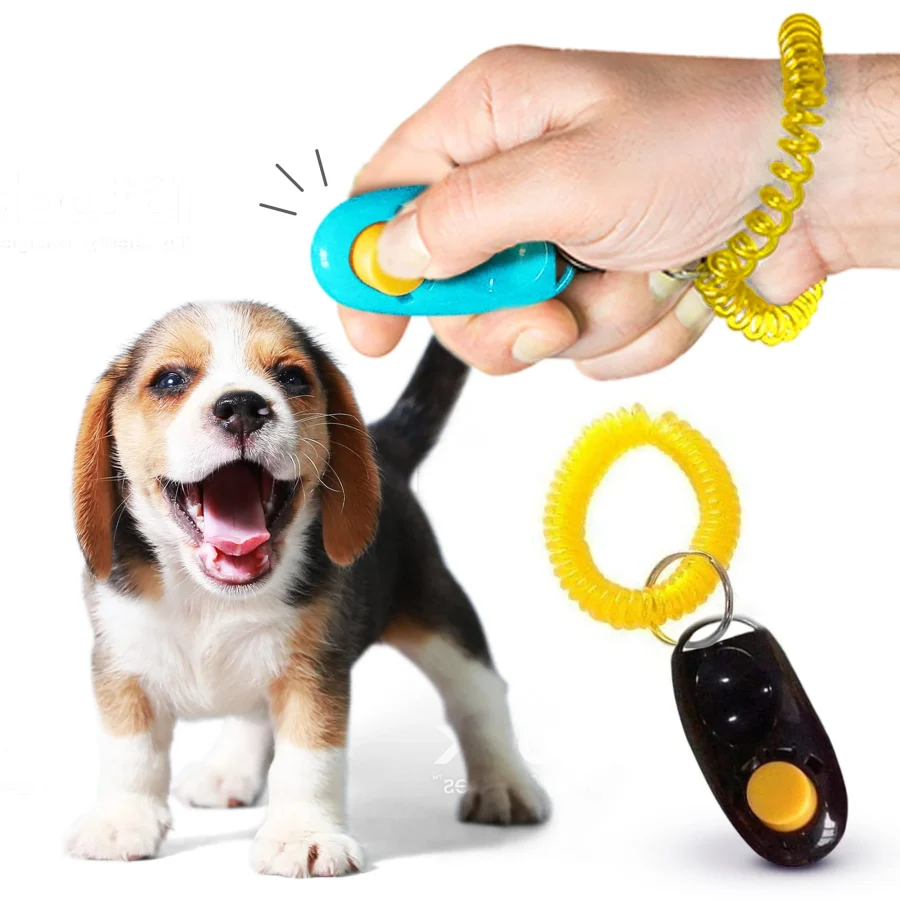Pet Click Training