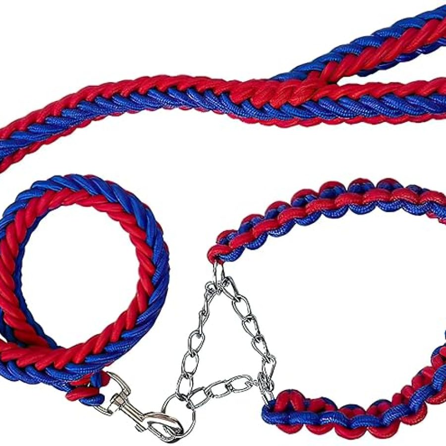 DOUBLE BRAIDED LEASH AND COLLAR