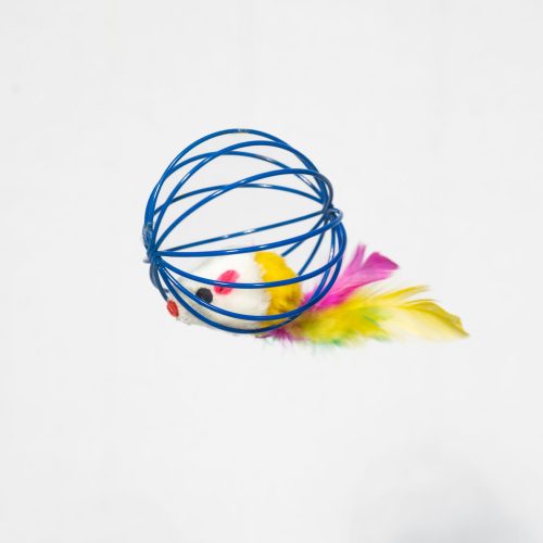 CAT MOUSE IN A BALL