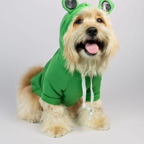 Home 20 Pet Funny Hoodies