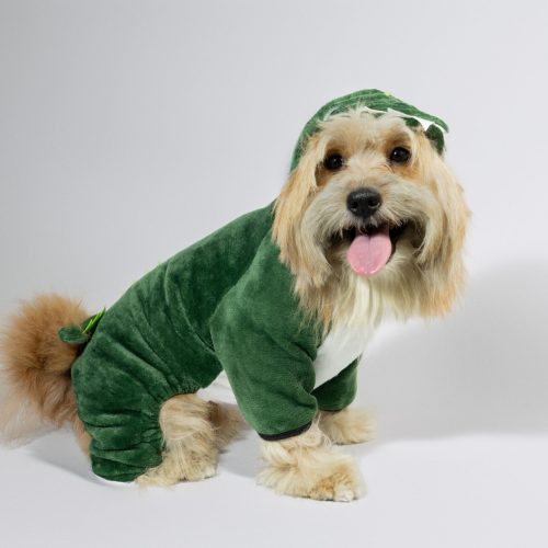 Home 19 Pet Frog Suit