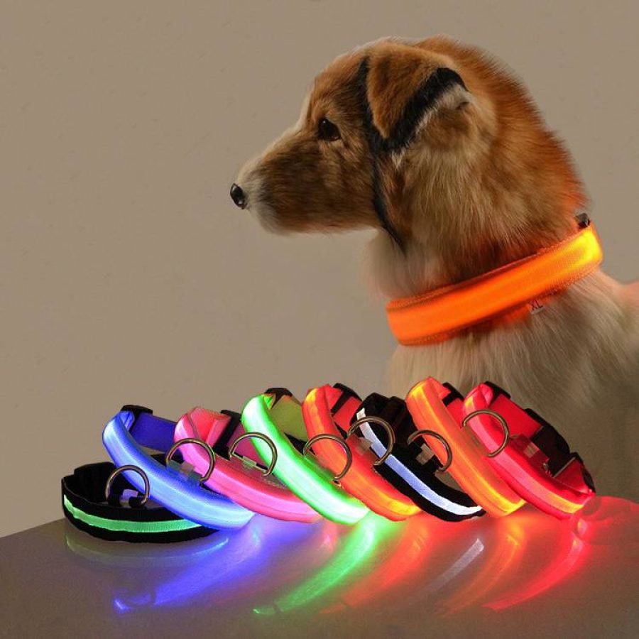 LED Collar