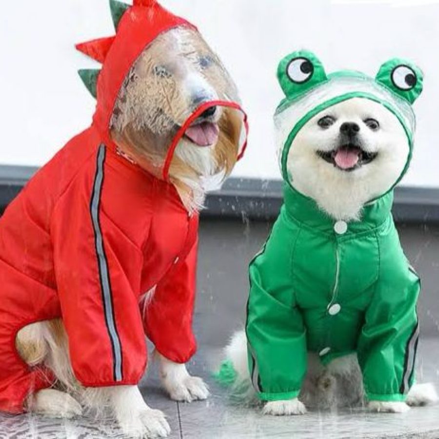 Pet Monster Raincoat