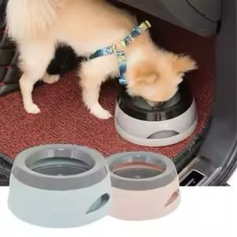Non Spill Bowl Assorted