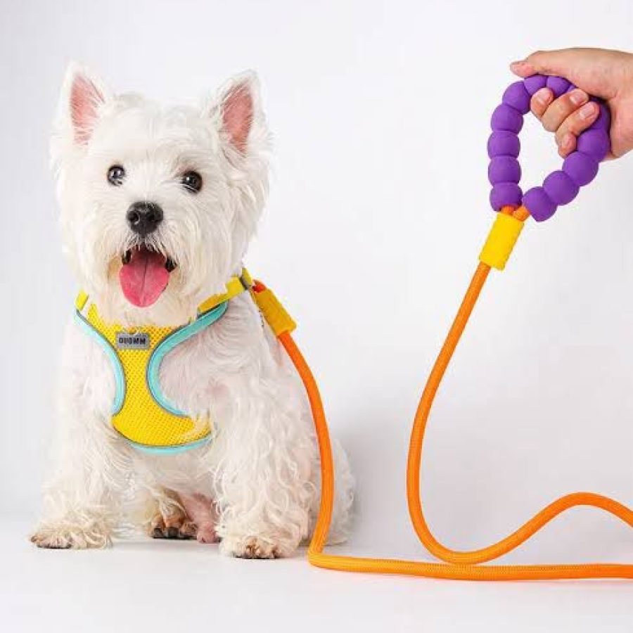 Harness And Leash with Grip Support