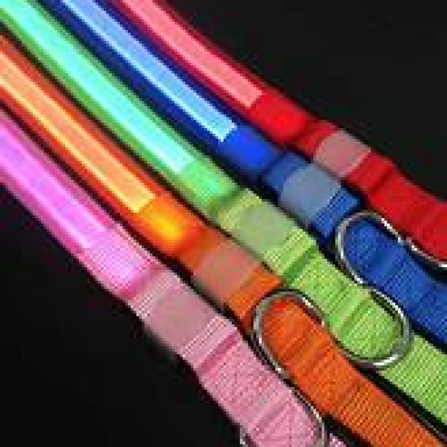 LED Leash