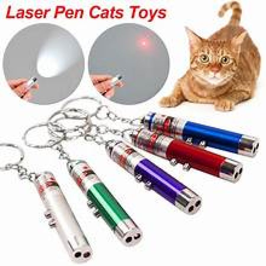 Cat Laser Play Toy